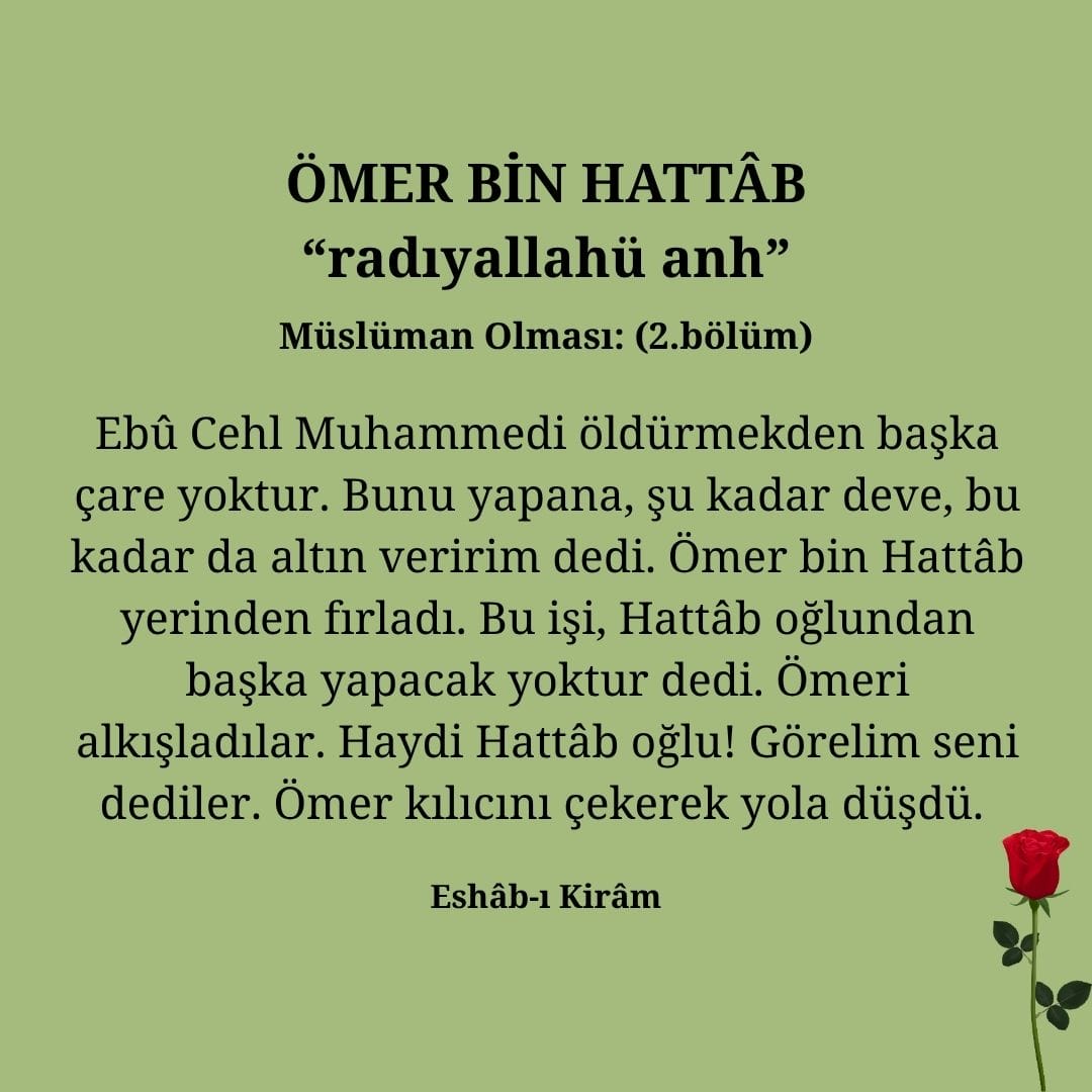 Ömer bin Hattab (4)